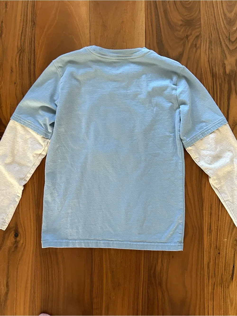 Gymboree Light Blue Layered-Look Long Sleeve Top with Winter Animal Stack